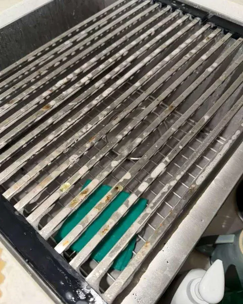 Before: metal drying rack over a kitchen sink with visible residue between its bars.